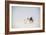 Indian Family Enjoying a Camel Ride in the White Desert-Annie Owen-Framed Photographic Print