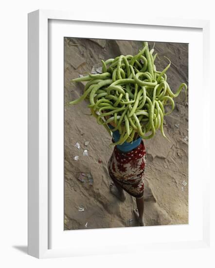 Indian Farmer Carries Cucumbers to Sell in the Market on the Outskirts of Allahabad, India-null-Framed Photographic Print