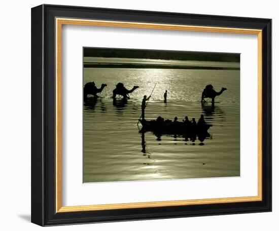 Indian Farmers Carry Watermelon across the River Ganges on their Camels in Allahabad, India-null-Framed Photographic Print