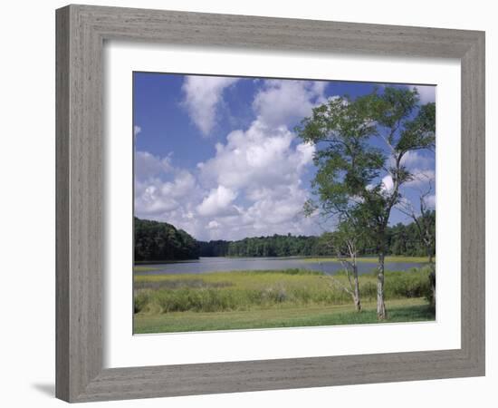 Indian Field Creek, on Colonial Highway, Near Williamsburg, Virginia, USA-Pearl Bucknall-Framed Photographic Print