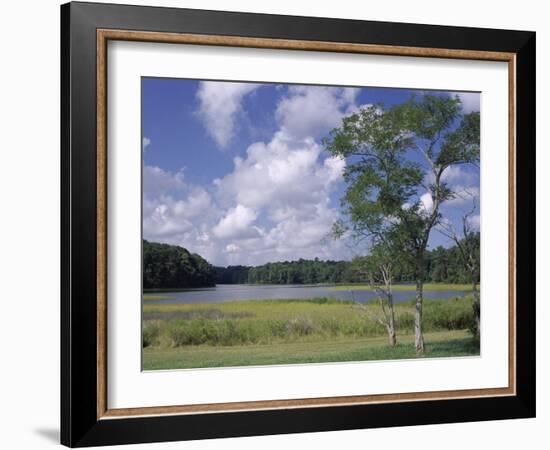 Indian Field Creek, on Colonial Highway, Near Williamsburg, Virginia, USA-Pearl Bucknall-Framed Photographic Print