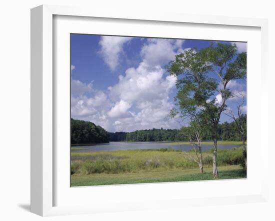 Indian Field Creek, on Colonial Highway, Near Williamsburg, Virginia, USA-Pearl Bucknall-Framed Photographic Print