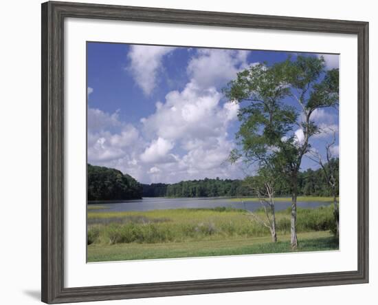 Indian Field Creek, on Colonial Highway, Near Williamsburg, Virginia, USA-Pearl Bucknall-Framed Photographic Print