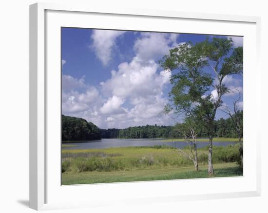 Indian Field Creek, on Colonial Highway, Near Williamsburg, Virginia, USA-Pearl Bucknall-Framed Photographic Print