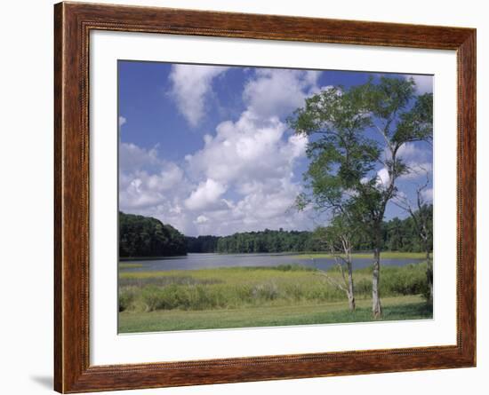 Indian Field Creek, on Colonial Highway, Near Williamsburg, Virginia, USA-Pearl Bucknall-Framed Photographic Print