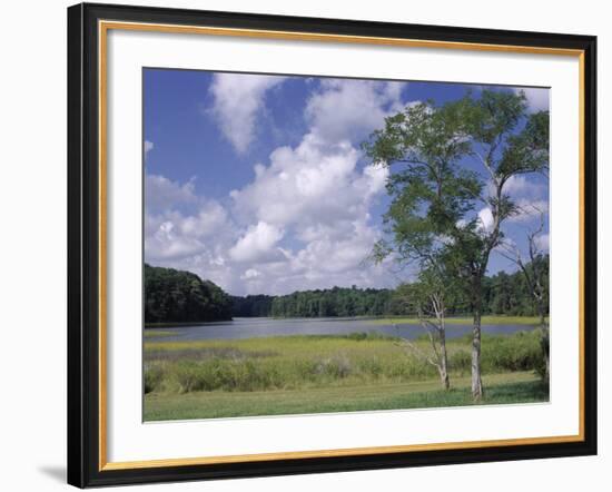 Indian Field Creek, on Colonial Highway, Near Williamsburg, Virginia, USA-Pearl Bucknall-Framed Photographic Print