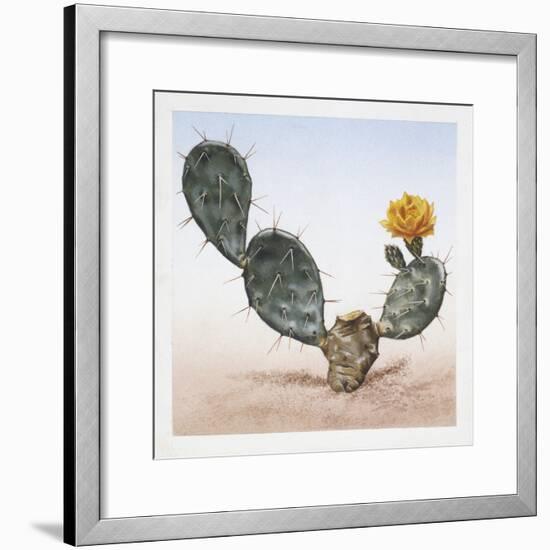 Indian Fig Opuntia (Opuntia Ficus-Indica)-null-Framed Giclee Print