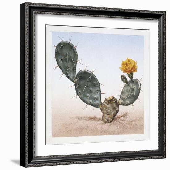 Indian Fig Opuntia (Opuntia Ficus-Indica)-null-Framed Giclee Print