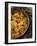 Indian Food, Chicken Tikka Masala, India-Tondini Nico-Framed Photographic Print