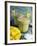Indian Food, Lassi, Mango Juice, India-Tondini Nico-Framed Photographic Print