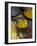 Indian Food, Pan of Dhal, India-Tondini Nico-Framed Photographic Print