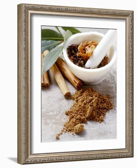 Indian Garam Masala and Ingredients-Eising Studio - Food Photo and Video-Framed Photographic Print