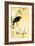 Indian Hill Minor and Magnolia-Koson Ohara-Framed Giclee Print