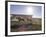 Indian Horse Relay Race at North American Indian Days, Browning,, Montana, USA-Chuck Haney-Framed Photographic Print