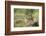 Indian Jackal (Himalayan Jackal) (Canis Aureus Indicus), Ranthambhore, Rajasthan, India-Janette Hill-Framed Photographic Print