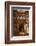 Indian Lady in Traditional Dress in a Temple in Jaisalmer, Rajasthan, India, Asia-Martin Child-Framed Photographic Print