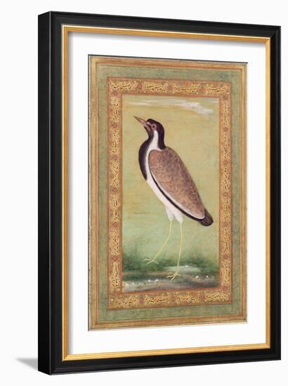 Indian Lapwing, C.1800-Ustad Mansur-Framed Giclee Print