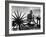 Indian Leader Mohandas Gandhi Reading as He Sits Cross Legged on Floor-Margaret Bourke-White-Framed Premium Photographic Print