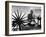 Indian Leader Mohandas Gandhi Reading as He Sits Cross Legged on Floor-Margaret Bourke-White-Framed Premium Photographic Print