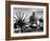 Indian Leader Mohandas Gandhi Reading as He Sits Cross Legged on Floor-Margaret Bourke-White-Framed Premium Photographic Print