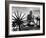 Indian Leader Mohandas Gandhi Reading as He Sits Cross Legged on Floor-Margaret Bourke-White-Framed Premium Photographic Print