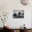 Indian Leader Mohandas Gandhi Reading as He Sits Cross Legged on Floor-Margaret Bourke-White-Mounted Premium Photographic Print displayed on a wall