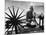 Indian Leader Mohandas Gandhi Reading as He Sits Cross Legged on Floor-Margaret Bourke-White-Mounted Premium Photographic Print