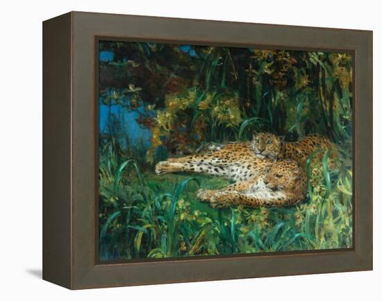 Indian Leopards-John Macallan Swan-Framed Premier Image Canvas