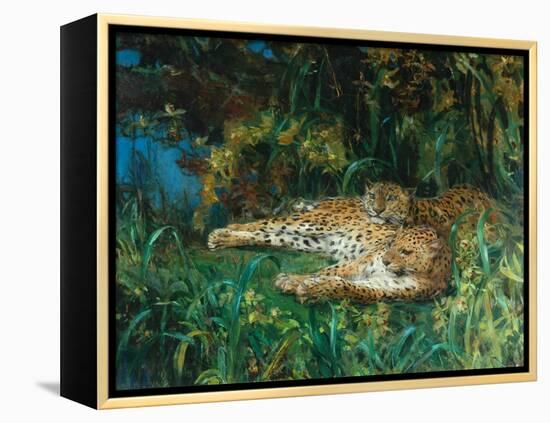 Indian Leopards-John Macallan Swan-Framed Premier Image Canvas