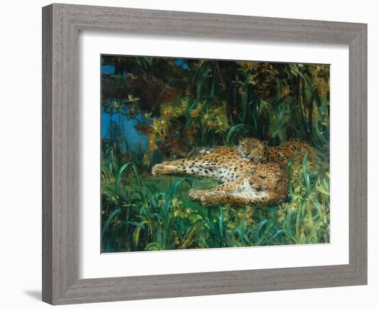 Indian Leopards-John Macallan Swan-Framed Giclee Print