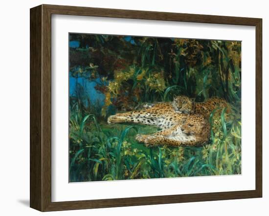 Indian Leopards-John Macallan Swan-Framed Giclee Print