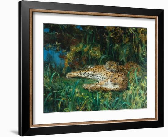 Indian Leopards-John Macallan Swan-Framed Giclee Print