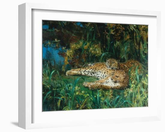 Indian Leopards-John Macallan Swan-Framed Giclee Print