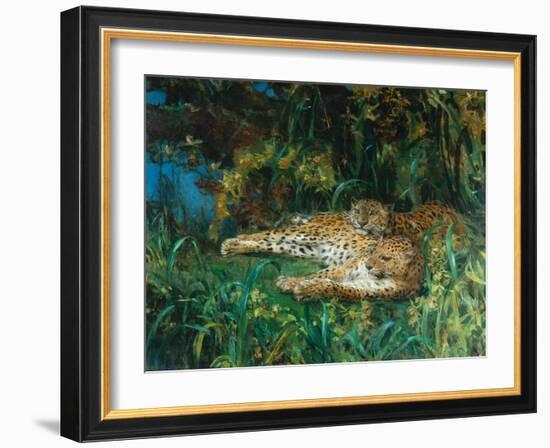 Indian Leopards-John Macallan Swan-Framed Giclee Print