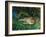 Indian Leopards-John Macallan Swan-Framed Giclee Print