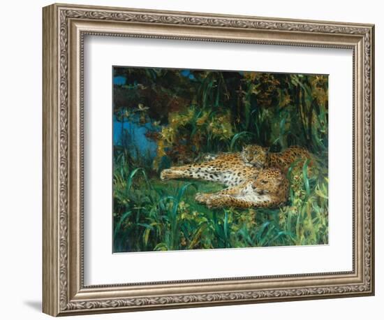 Indian Leopards-John Macallan Swan-Framed Giclee Print