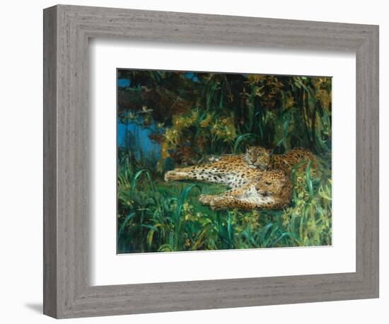 Indian Leopards-John Macallan Swan-Framed Giclee Print