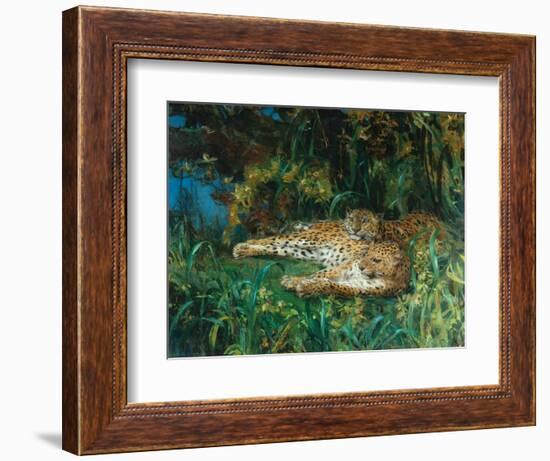 Indian Leopards-John Macallan Swan-Framed Giclee Print