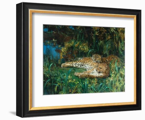 Indian Leopards-John Macallan Swan-Framed Giclee Print