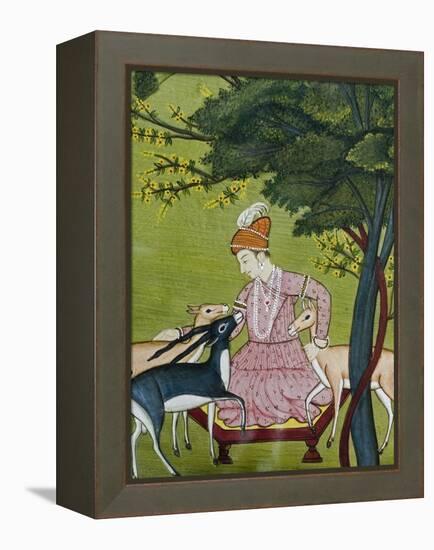 Indian Miniature, Animal Kindness Ahimsa-Paul Stewart-Framed Premier Image Canvas