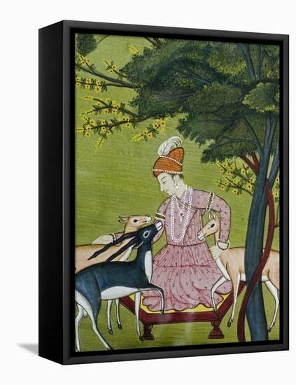 Indian Miniature, Animal Kindness Ahimsa-Paul Stewart-Framed Premier Image Canvas