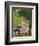 Indian Miniature, Animal Kindness Ahimsa-Paul Stewart-Framed Premium Photographic Print