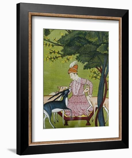 Indian Miniature, Animal Kindness Ahimsa-Paul Stewart-Framed Premium Photographic Print