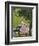 Indian Miniature, Animal Kindness Ahimsa-Paul Stewart-Framed Premium Photographic Print