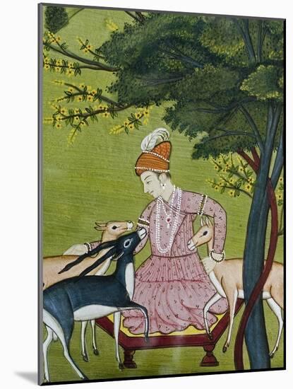 Indian Miniature, Animal Kindness Ahimsa-Paul Stewart-Mounted Photographic Print
