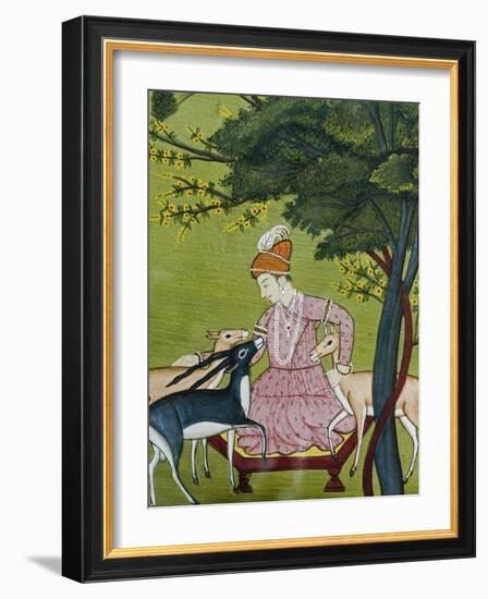 Indian Miniature, Animal Kindness Ahimsa-Paul Stewart-Framed Photographic Print