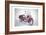 Indian Motorcycle, 2009-Anthony Butera-Framed Giclee Print