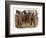 Indian Mutiny 1857-Harry Payne-Framed Art Print