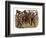 Indian Mutiny 1857-Harry Payne-Framed Art Print