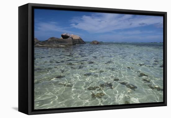 Indian Ocean, Seychelles, Mahe, St. Anne Marine National Park, Moyenne Island-Cindy Miller Hopkins-Framed Premier Image Canvas